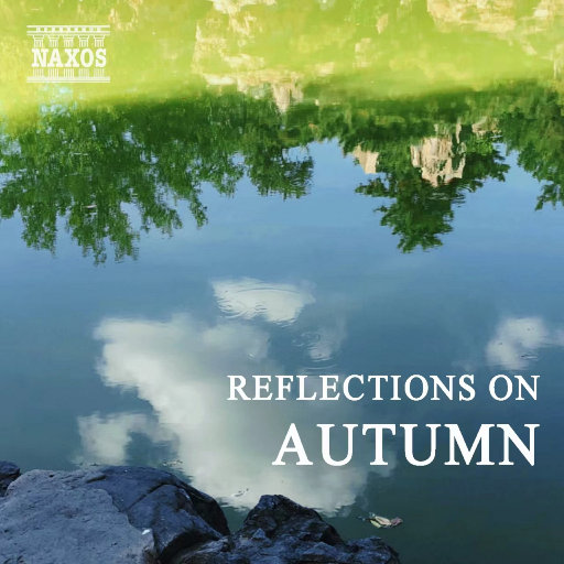 可观看免费看污网站
